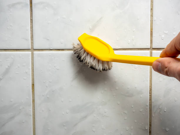 Office Mold Removal Services in Foxfire, NC
