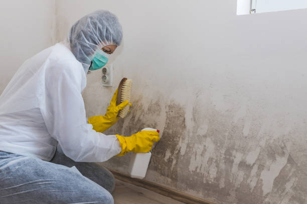 Best Residential Mold Removal  in Foxfire, NC