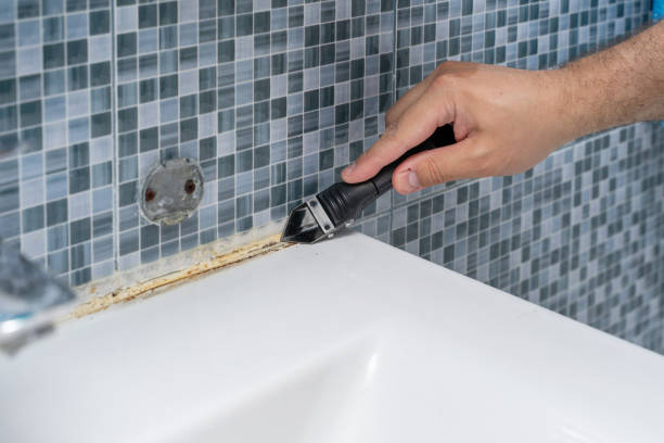 Best Toxic Mold Removal  in Foxfire, NC