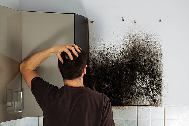 Certified Mold Removal in Foxfire, NC